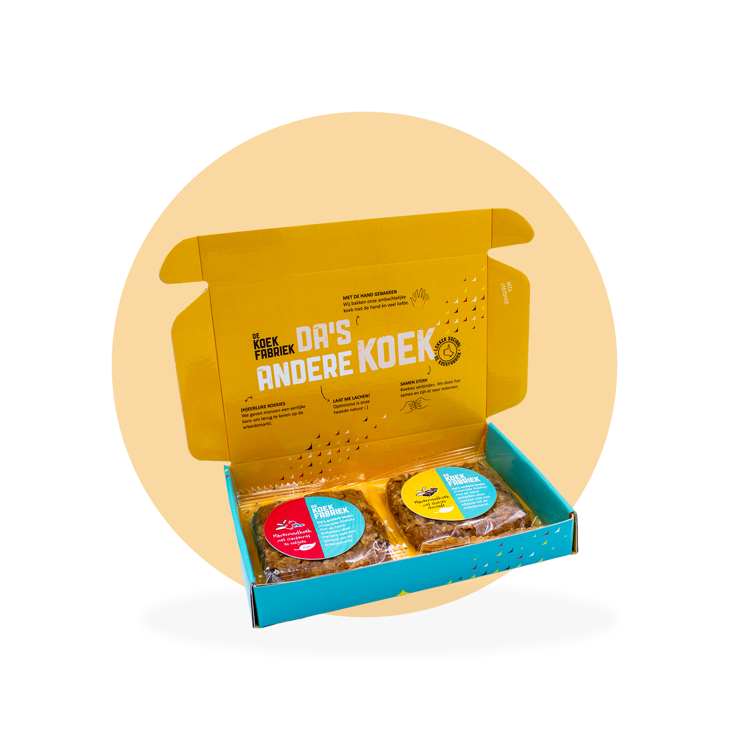 BRIEVENBUSDOOSJE 1x HAVERMOUTKOEK CRANBERRY/ROZIJN EN 1x HAVERMOUTKOEK CHOCOLADE (VEGAN!)