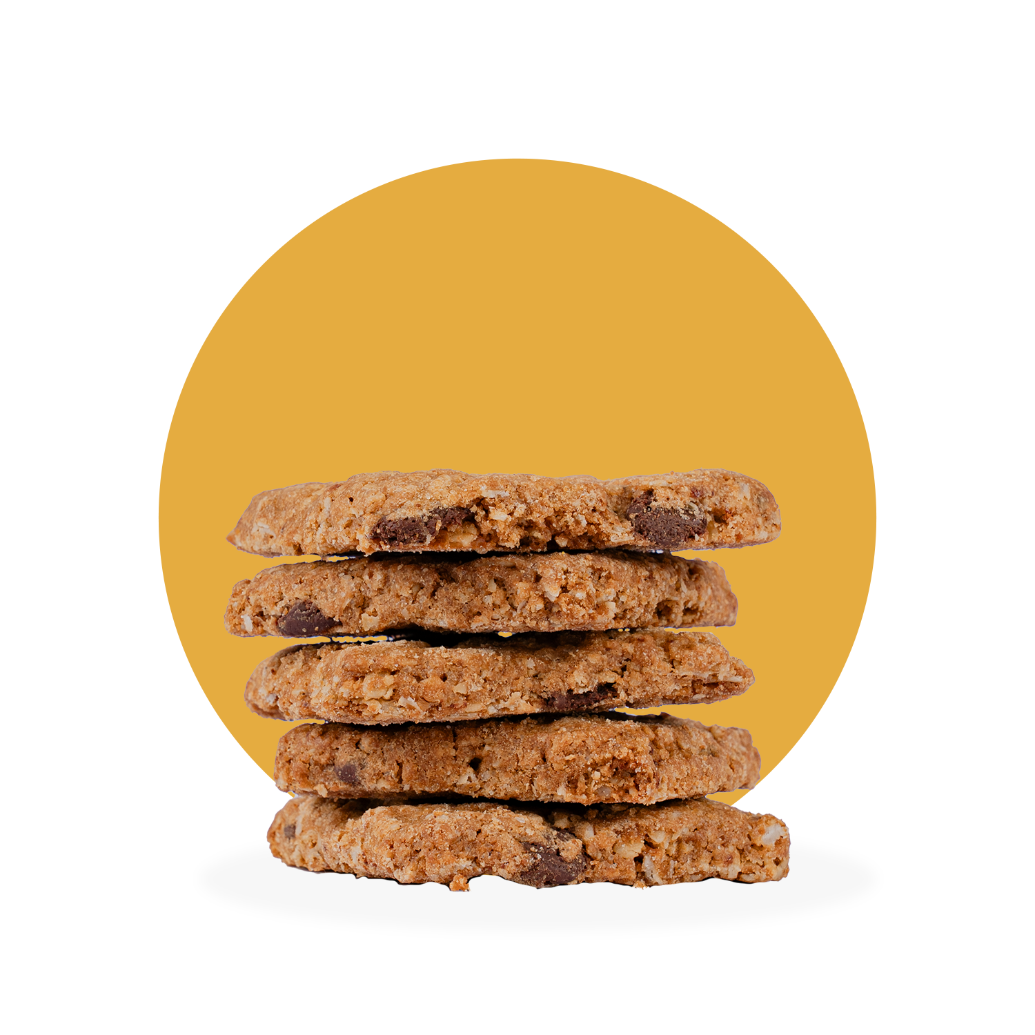 HAVERMOUTKOEK MET PURE CHOCOLADE (VEGAN)